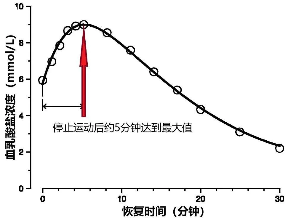 深圳王之者足球：球员耐力训练必须遵守的基本原则