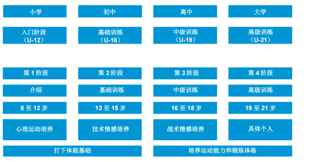 深圳王之者足球：幼儿足球是职业足球可持续发展的产物